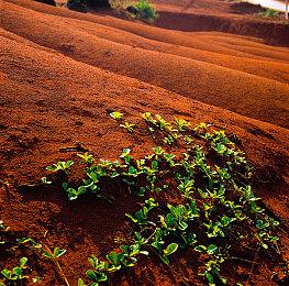 《装甲核心6》PS版容量大小公布 8月23号开启预载